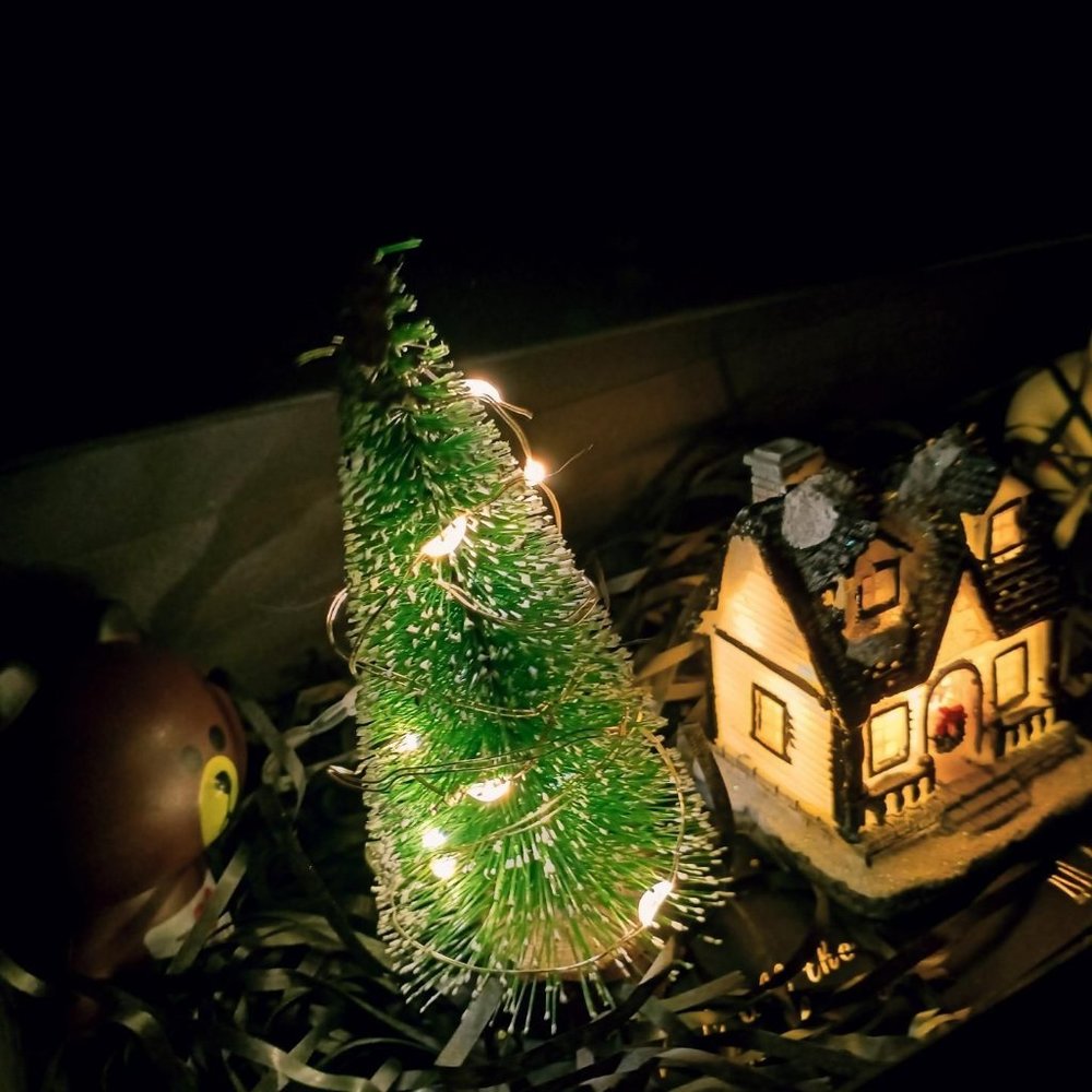 Mini Christmas Tree Cedar Tabletop Decoration (Height: 25cm)